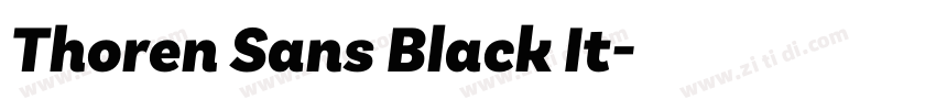 Thoren Sans Black It字体转换